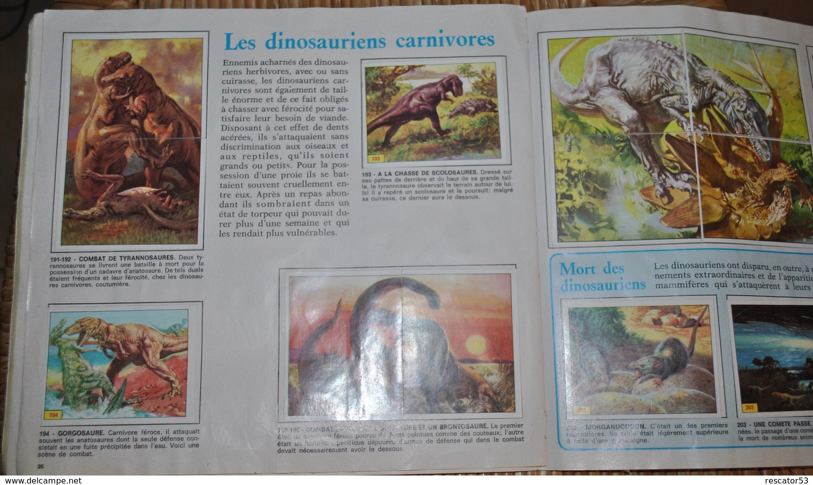 Rare Album Panini Les Animaux Préhistoriques Complet - Edition Française