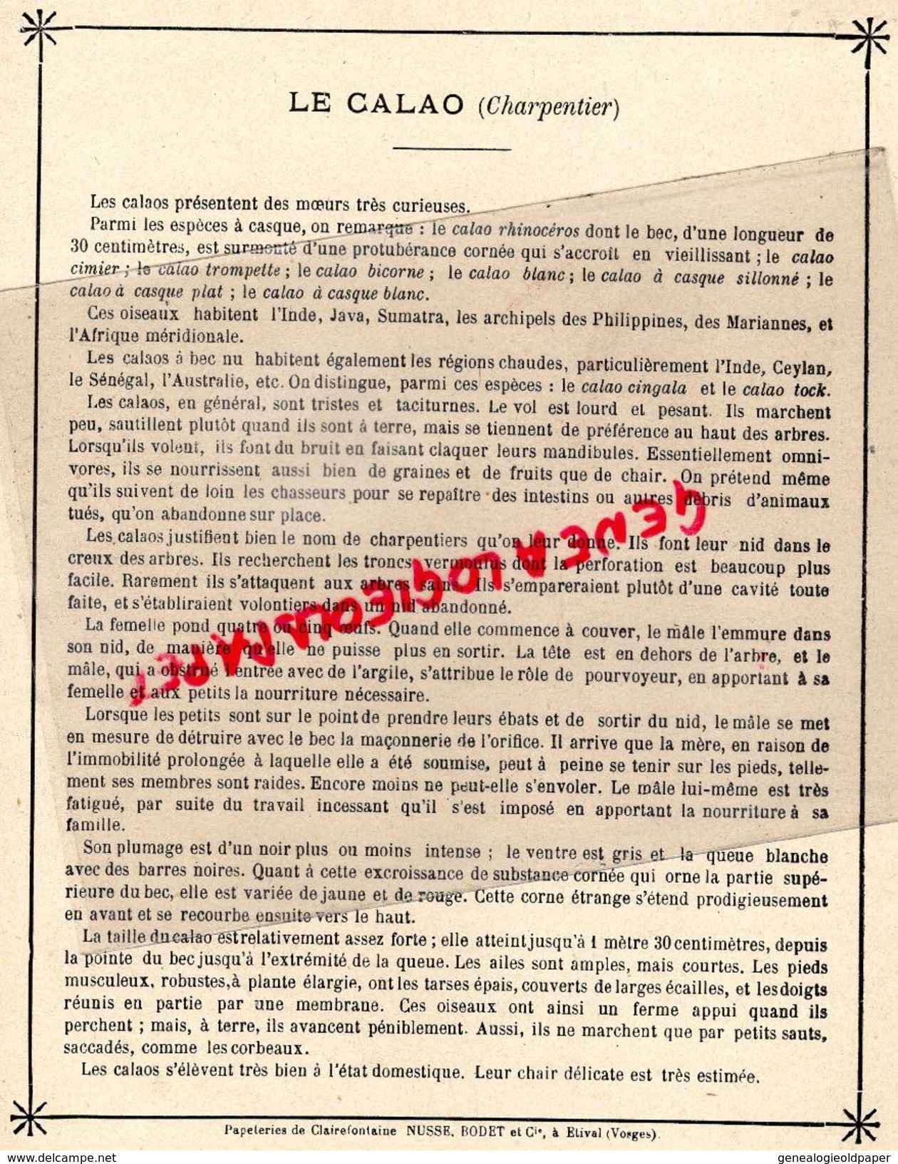 PROTEGE CAHIER-IMPRIMERIE DUCOURTIEUX LIMOGES-METIERS CHEZ LES ANIMAUX-LE CALAO CHARPENTIER RHINOCEROS-INDE JAVA SUMATRA - M