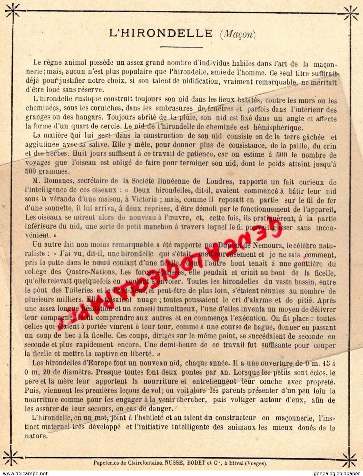 PROTEGE CAHIER-IMPRIMERIE DUCOURTIEUX LIMOGES-METIERS CHEZ LES ANIMAUX-HIRONDELLE MACON-MACONNERIE-OISEAUX - Animales