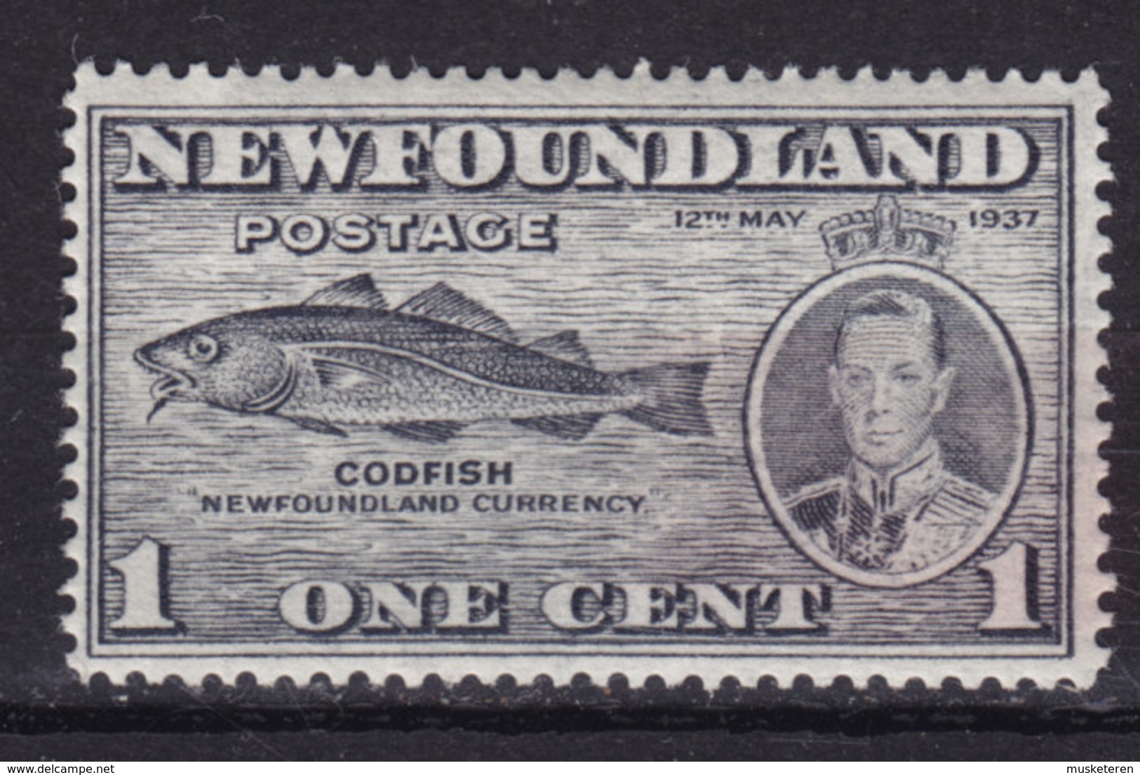 Newfoundland 1937 Mi. 221 A    1c. Codfish Fish Fische Poisson Perf. 13½ MH* - 1908-1947