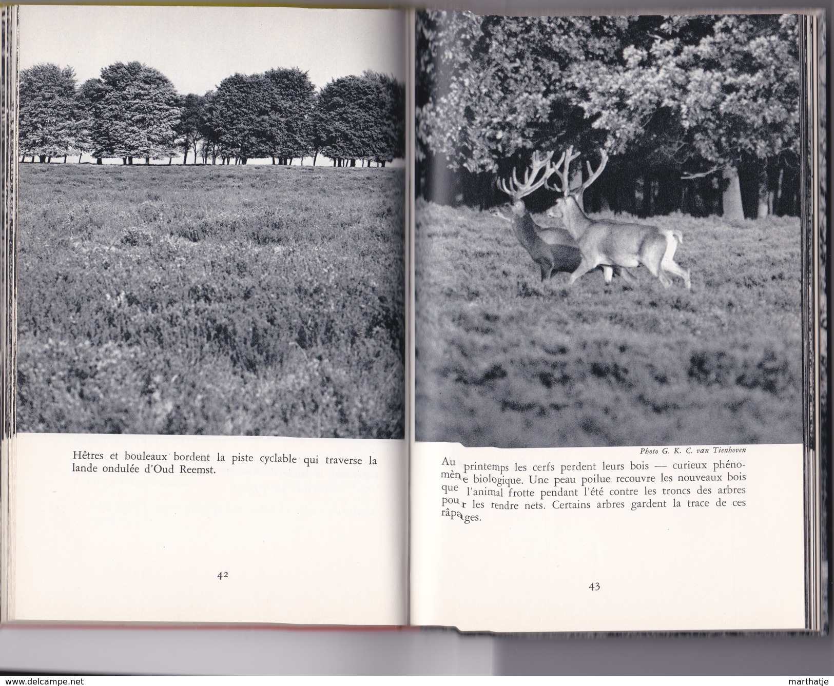 Voici Le Parc National DE HOGE VELUWE - Photos du Monde