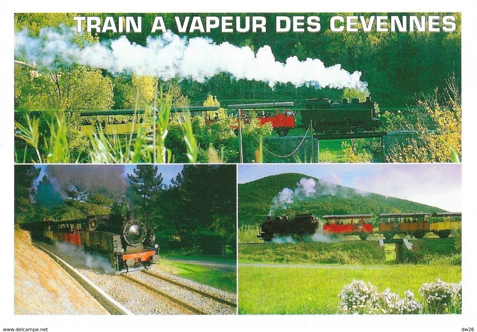 Train à Vapeur Des Cévennes: Anduze St Saint-Jean-du-Gard, Gare Du T.V.C. - Carte Multivues Non Circulée - Trains
