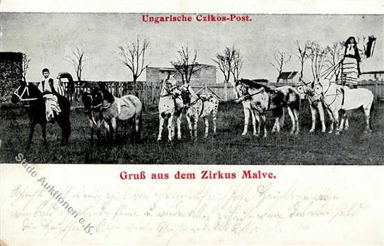 Zirkus Malve Ungarn 1915 I-II - Circo