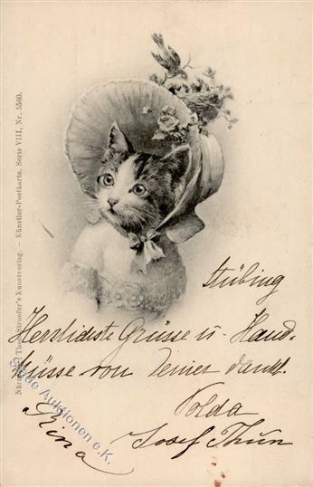 Katze Personifiziert Sign. Reichert, C. TSN-Verlag 5560 Künstlerkarte 1899 I-II Chat - Gatti