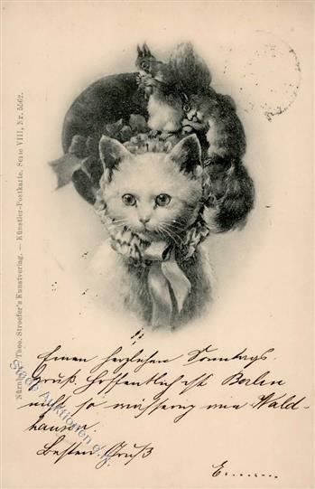 Katze Personifiziert Sign. Reichert, C. TSN-Verlag 5562 Künstlerkarte 1899 I-II (fleckig) Chat - Gatti