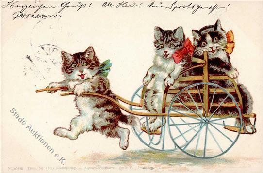 Katze Personifiziert TSN-Verlag 5273 Künstlerkarte 1899 I-II (fleckig) Chat - Gatti