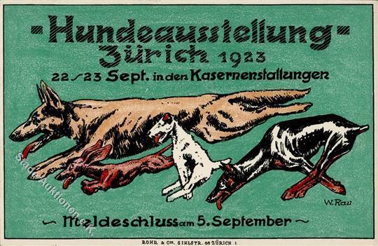 Dackel Zürich (8000) Schweiz Hundeausstellung I-II - Honden