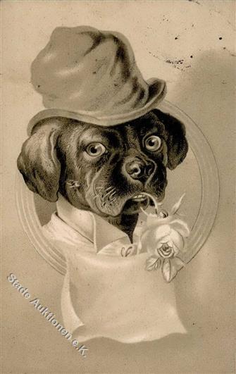 Hund Personifiziert Präge-Karte 1908 I-II (fleckig) Chien - Cani