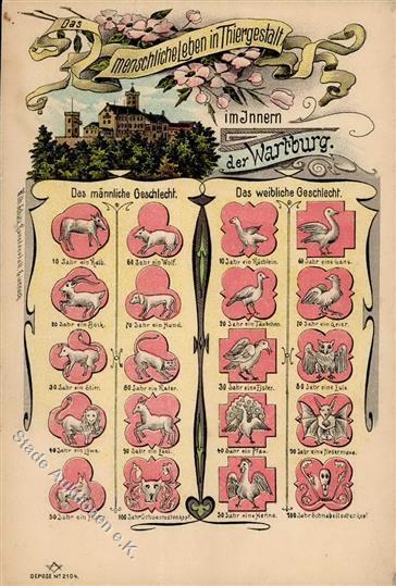 Tier Eule Das Menschliche Leben In Tiergestalt Lithographie I-II - Andere & Zonder Classificatie