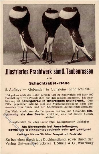 Taube Illustriertes Prachtwerk Sämtl. Taubenrassen Werbe AK I-II - Altri & Non Classificati