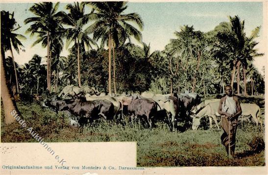 Kolonien Deutsch-Ostafrika Viehhirte Mit Herde Stpl. Dar-es-Salaam 19.8.11 I-II Colonies - Storia