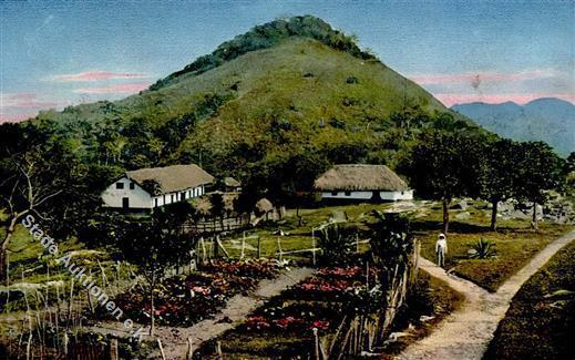 Kamerun Akpafu Garten Schule Lehrerhaus I-II - Other & Unclassified