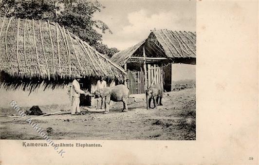 Kamerun Gezähmte Elephanten I-II - Andere & Zonder Classificatie