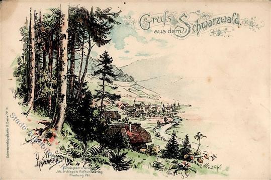 Schwarzwaldhaus, Gruß Aus Dem Schwarzwald, Farbige Künstlerkarte (Blick Ins Tal, Sign. W.Hasemann), Etwas Fleckig I-II - Storia