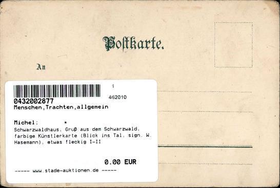 Schwarzwaldhaus, Gruß Aus Dem Schwarzwald, Farbige Künstlerkarte (Blick Ins Tal, Sign. W.Hasemann), Etwas Fleckig I-II - Storia