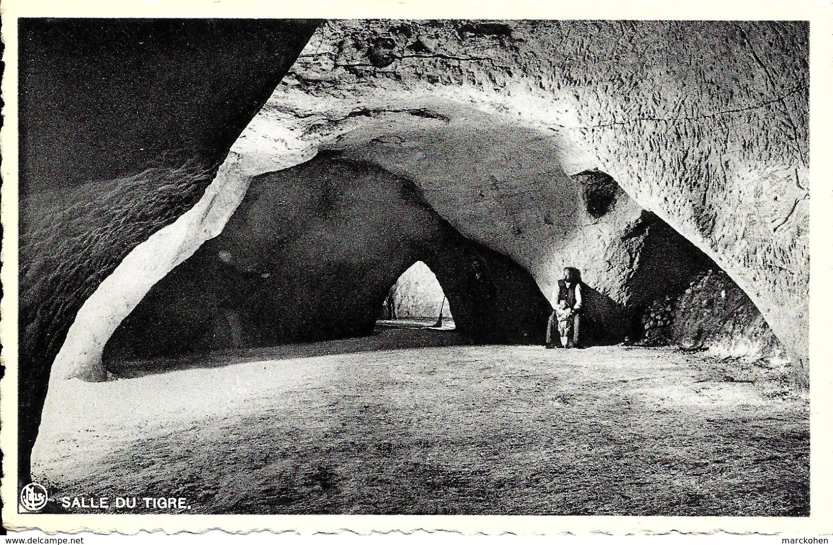 Orp-Jauche - Folx-les-Caves - Myciculture (1350) : Grandes Champignonnières (Ch. Racourt, Prop.) - Salle Du Tigre. CPSM. - Orp-Jauche