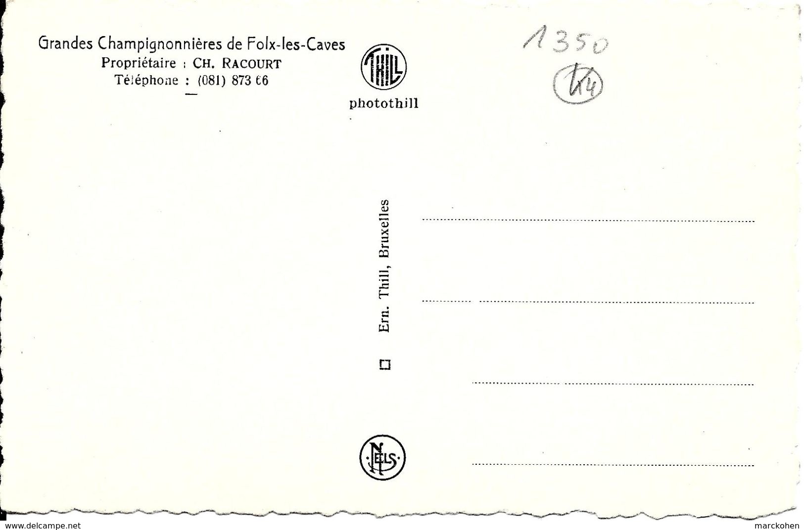 Orp-Jauche - Folx-les-Caves - Justice (1350) : Champignonnière, Repaire Du Voleur Pierre Colon, Qui Y Fut Pendu En 1769. - Orp-Jauche