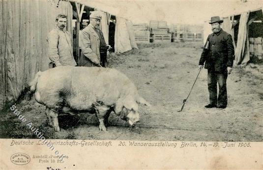 Berlin (1000) Deutsche Landwirtschafts Gesellschaft 20 Wanderausstellung 14-19 Juni 1906 I-II (Ecken Abgestossen) - Andere & Zonder Classificatie