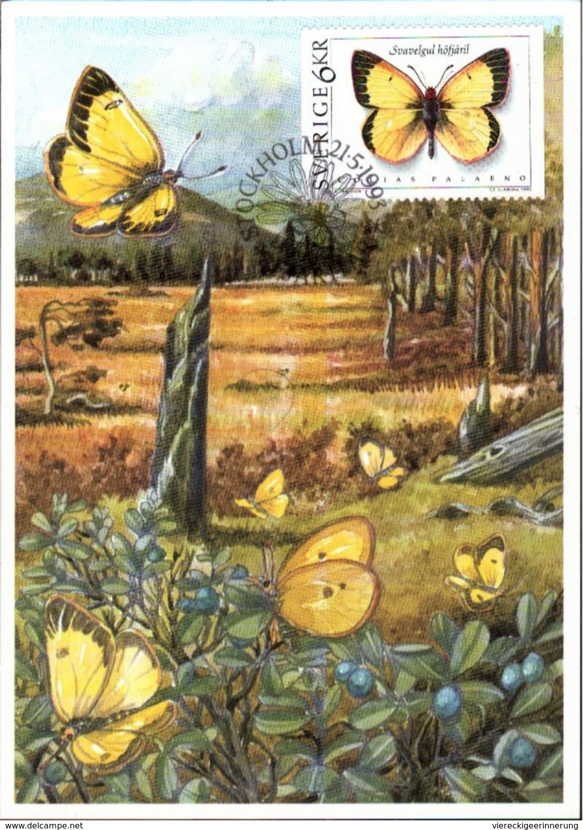 ! Lot of 20 cards + covers Butterfly , Thematik Schmetterlinge