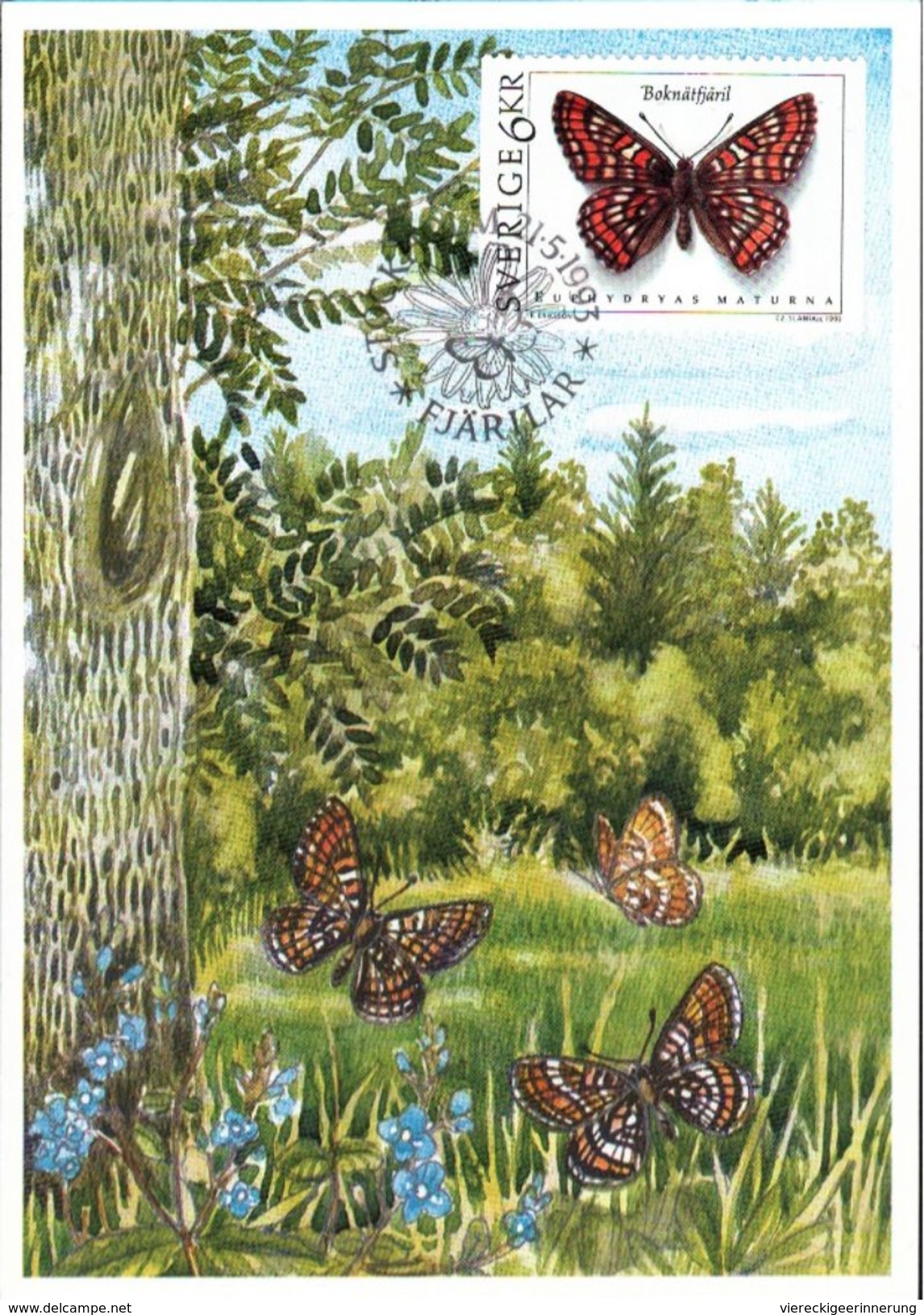 ! Lot of 20 cards + covers Butterfly , Thematik Schmetterlinge