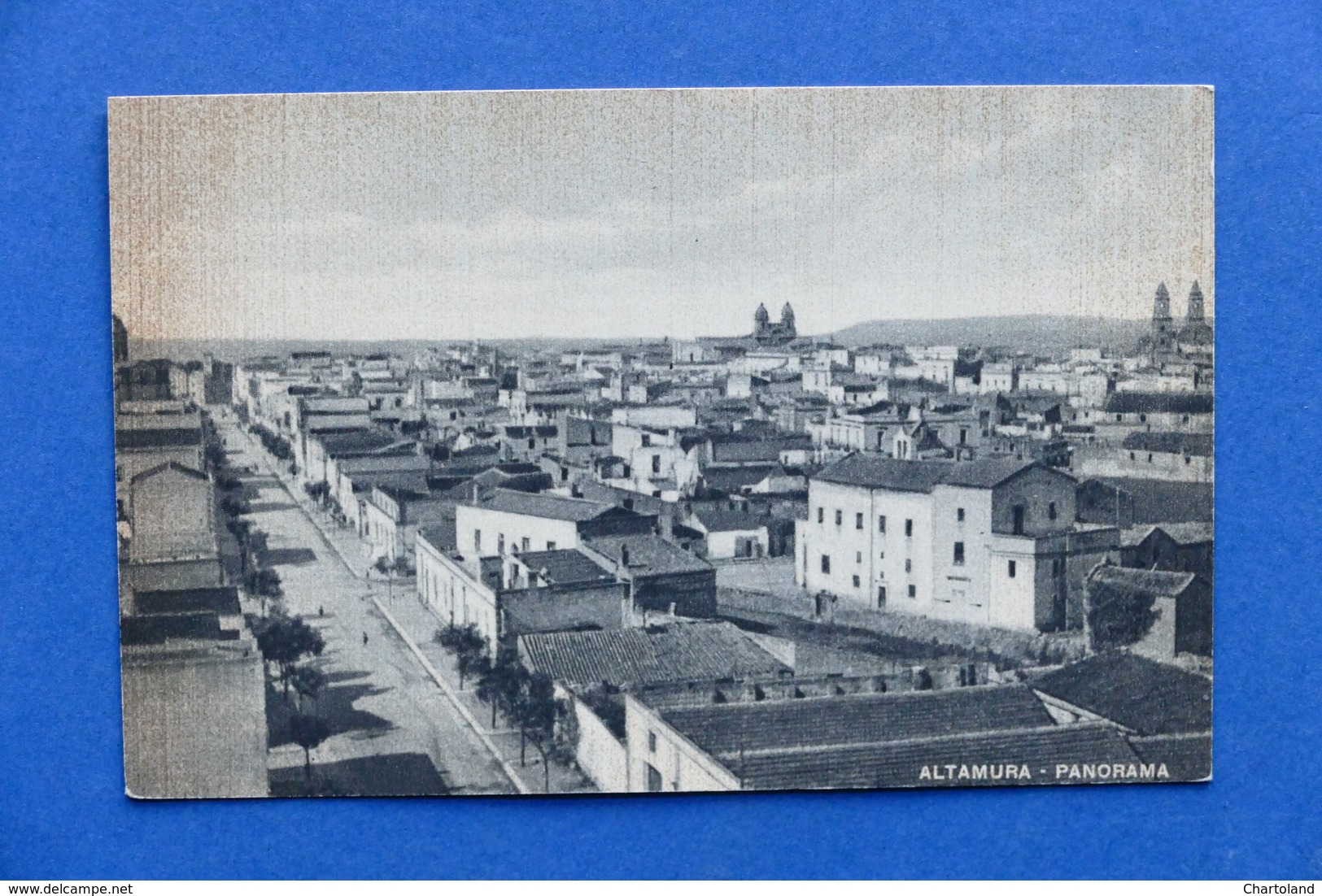 Cartolina Altamura - Panorama - 1920 Ca. - Bari