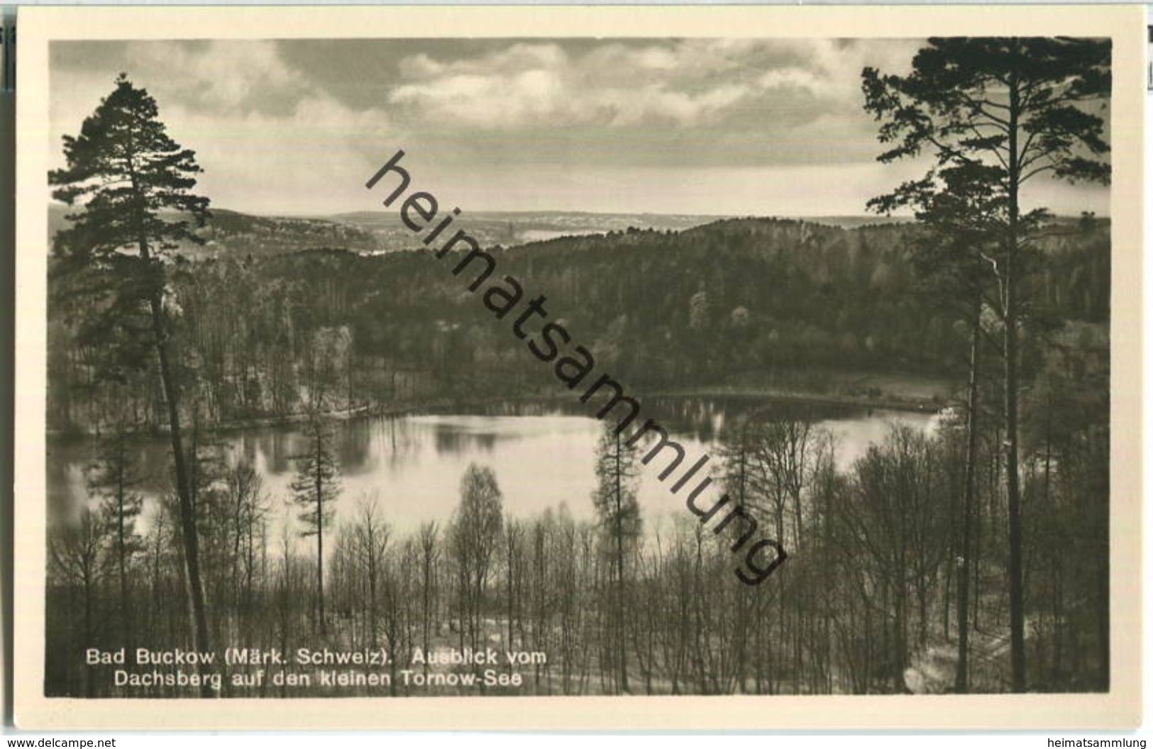 Bad Buckow - Märkische Schweiz - Kleiner Tornow-See Vom Dachsberg - Foto-Ansichtskarte - Verlag Rudolf Lambeck Berlin - Buckow