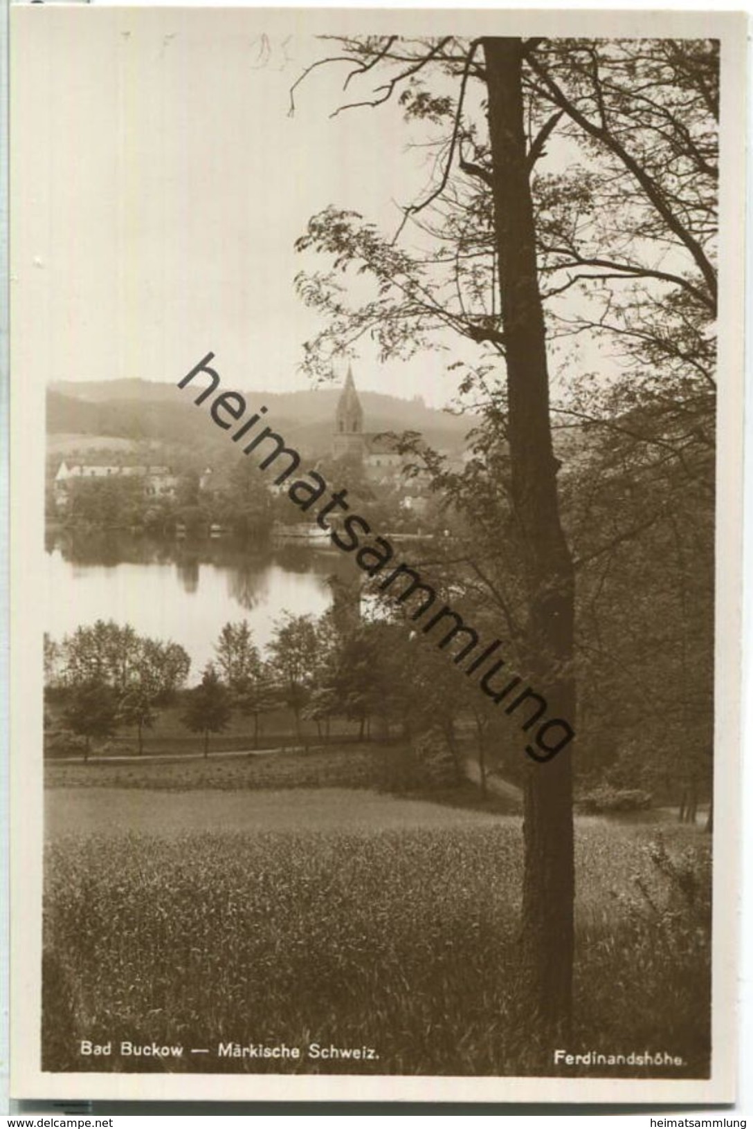 Bad Buckow - Märkische Schweiz - Ferdinandshöhe - Foto-Ansichtskarte - Verlag Rudolf Lambeck Berlin - Buckow