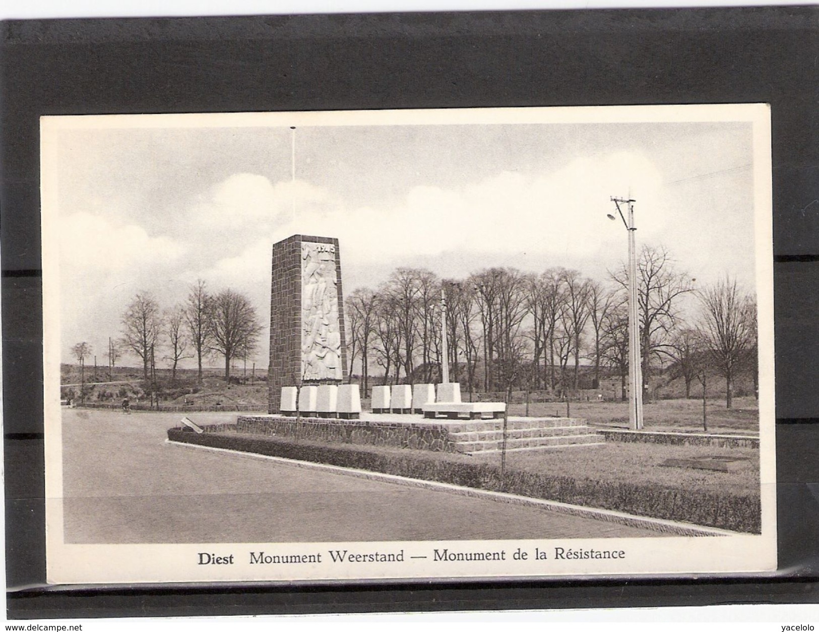 Diest   Monument Weerstand -- ( + Fr. ) - Diest