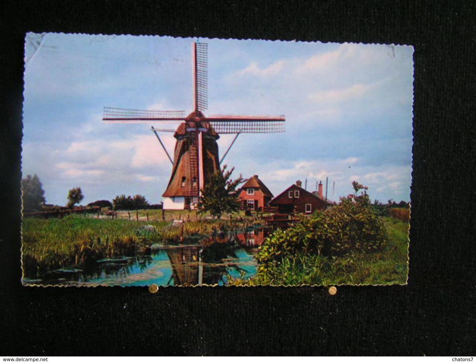AP4 - 209 - Pays-Bas - Wattermolen ( Bovenkruier à Bij Naardermeer - Circulé 1960 - Naarden