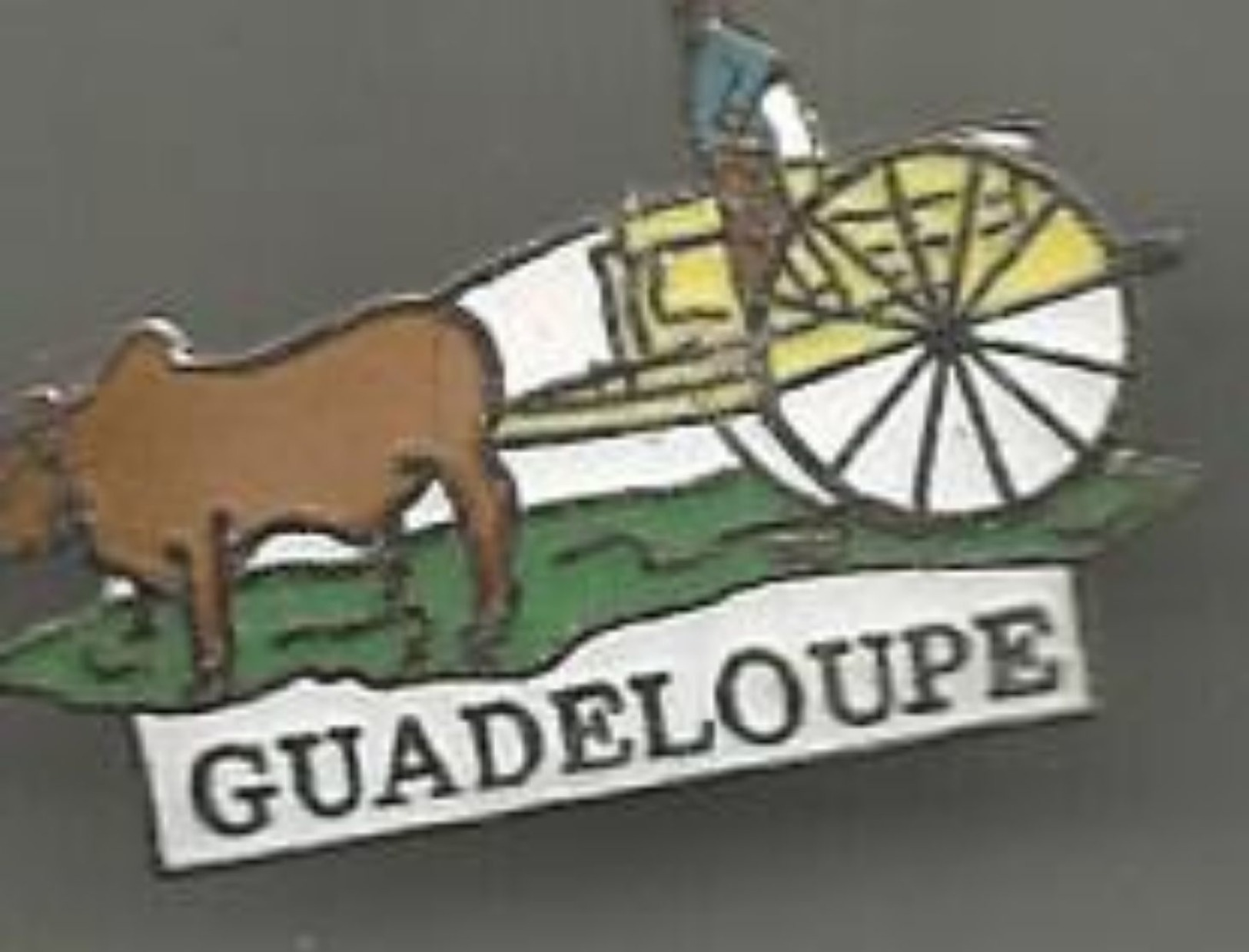 Pins Guadeloupe  Charette A Boeuf - Cities