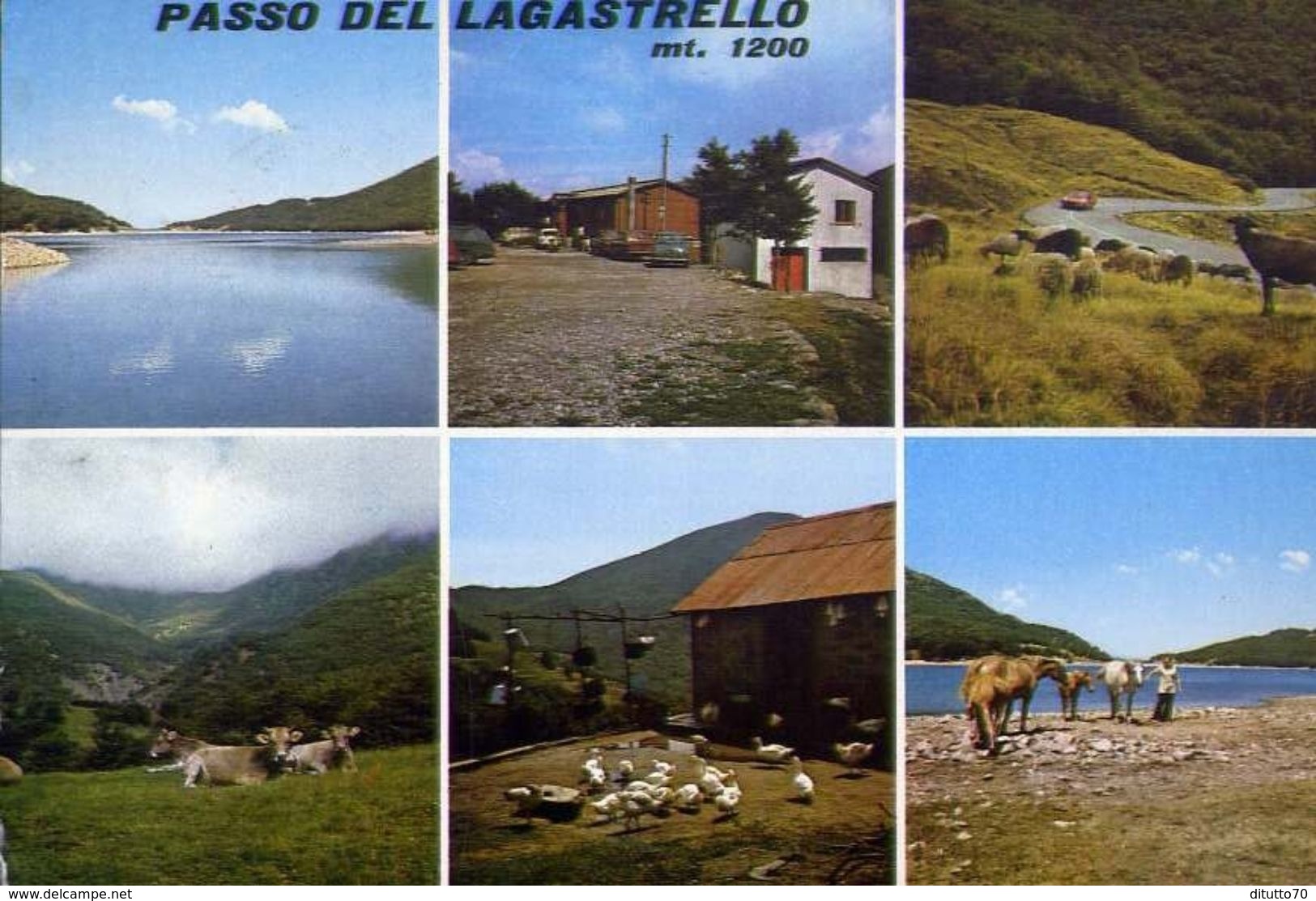 Passo Del Lagastrello - Formato Grande Viaggiata – E 4 - Massa