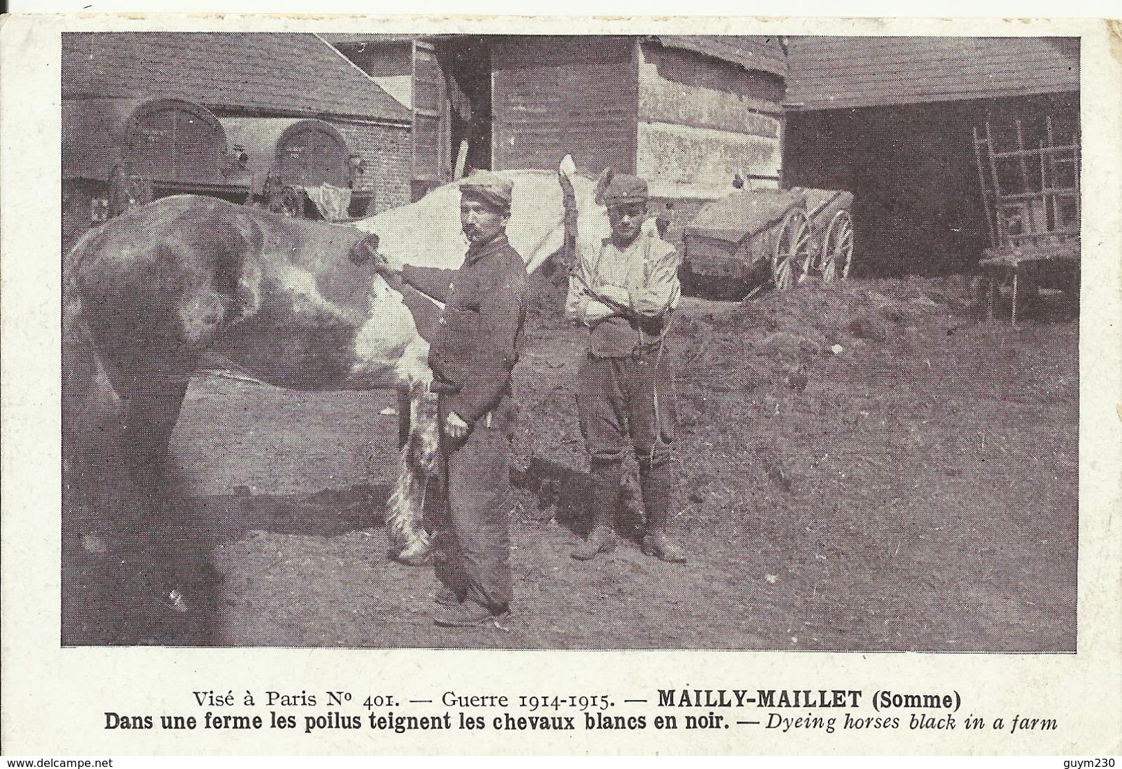 GUERRE 14/18- Mailly-Maillet ( Somme)- Dans Une Ferme Les Poilus Teignent Les Chevaux - Matériel