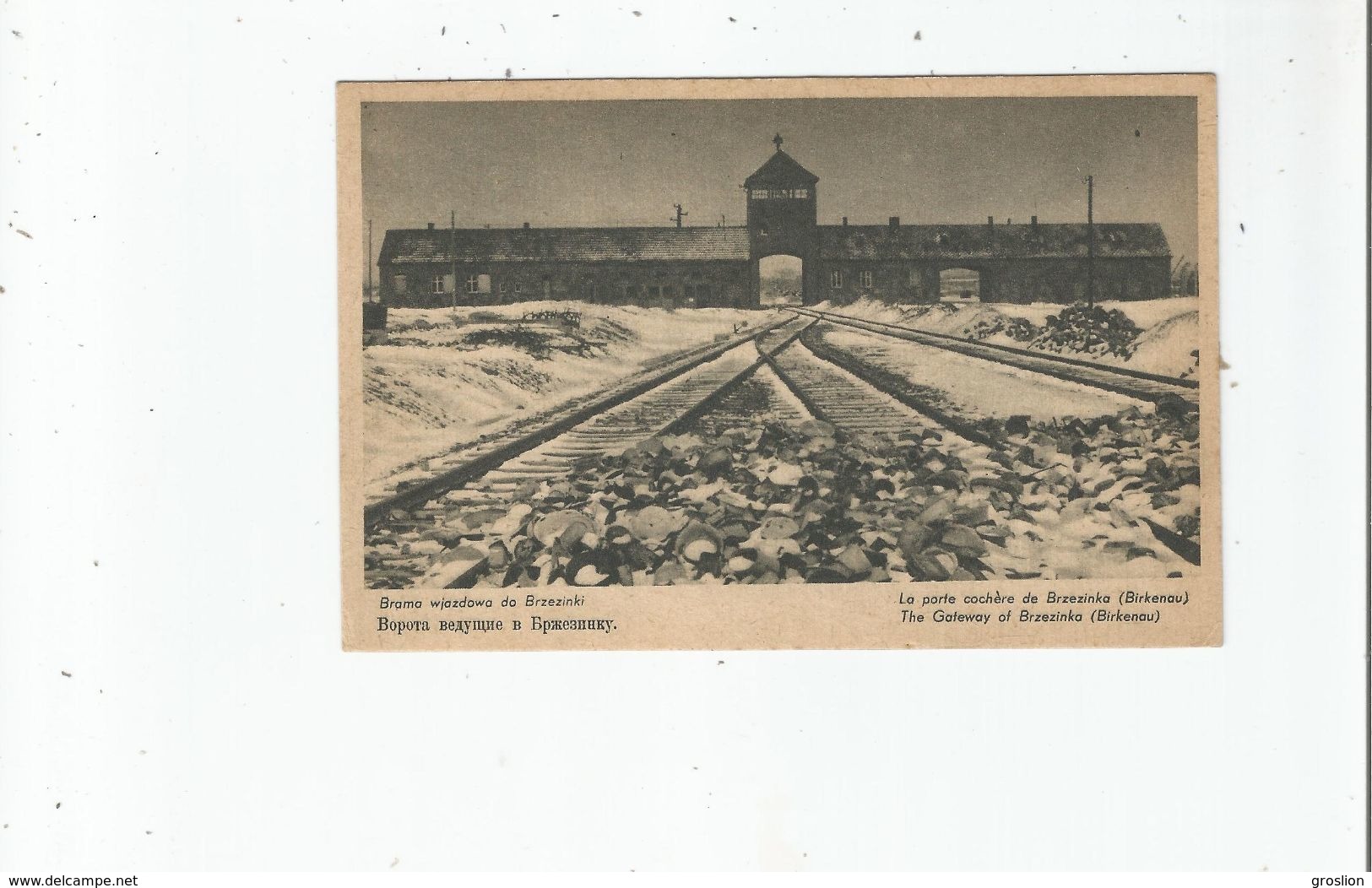 BRAMA WJAZDOWA DO BRZEZINSKI . LE CAMP DE CONCENTRATION OSWIECIM (AUSCHWITZ BIRKENAU) LA PORTE COCHERE DE BRZEZINKA - Polonia