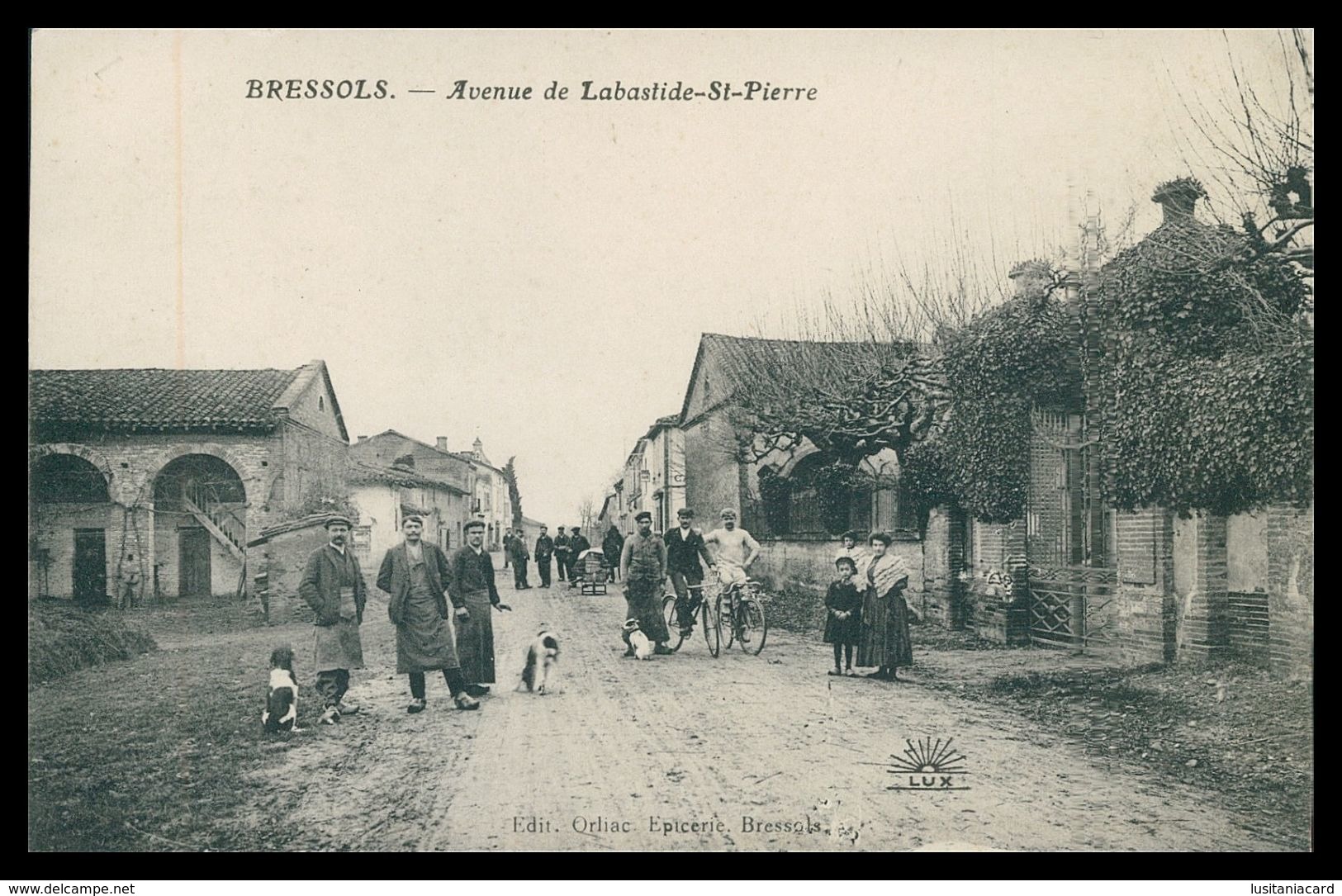 TARN ET GARONNE -  BRESSOLS - Anvenue De Labastide-St-Pierre.( Ed.Orliac) Carte Postale - Bressols