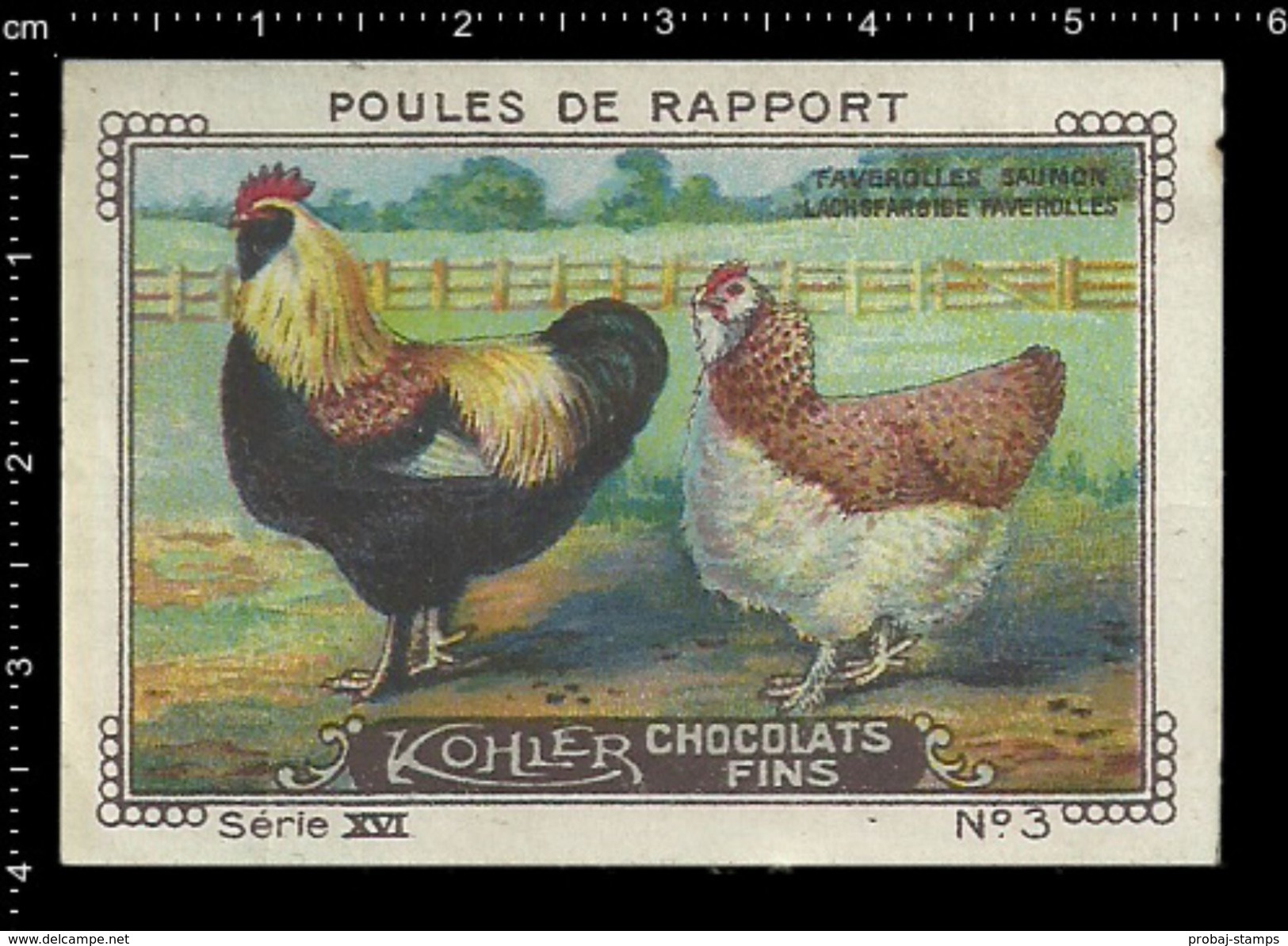 German Poster Stamps, Reklamemarke, Cinderellas, Chicken, Hen, Poultry, Farm, Huhn, Henne, Geflügel, Bauernhof - Granjas