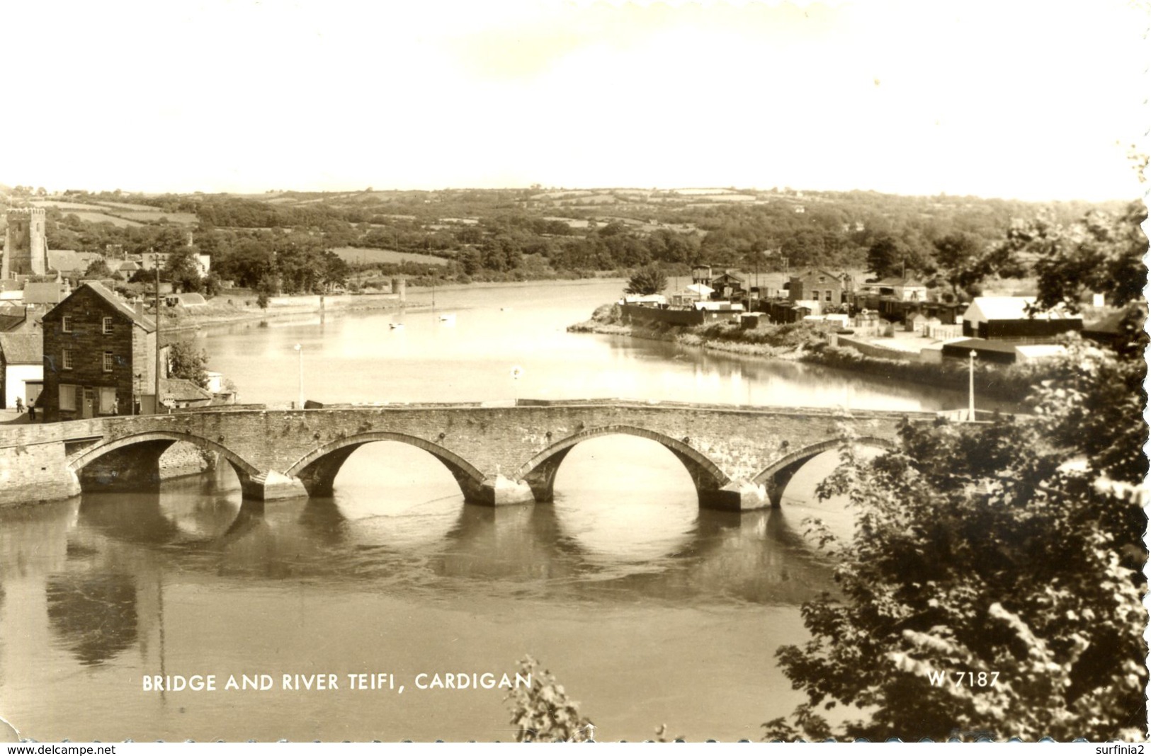 DYFED - CARDIGAN - BRIDGE AND RIVER TEIFI RP Dyf294 - Cardiganshire