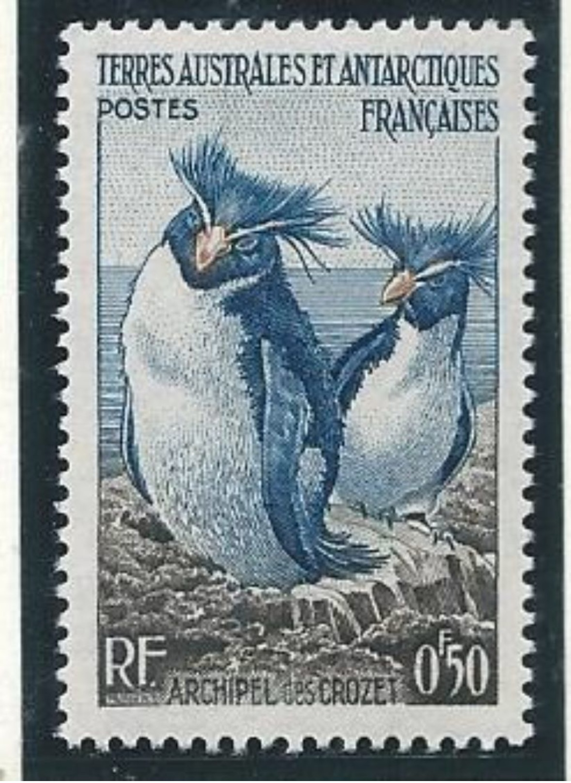 TAAF 1956 - YT N°2 - 50c. - Faune - Manchots Gorfous - NEUF** TTB Etat - Neufs