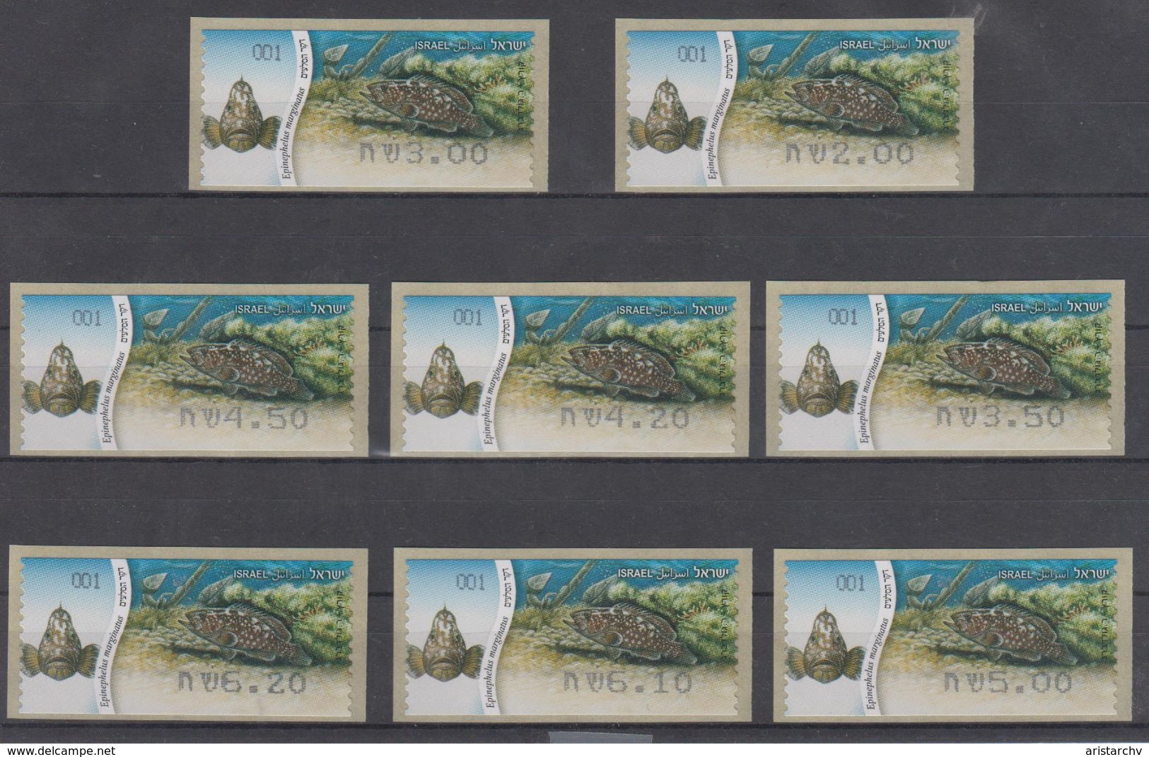 ISRAEL 2012 KLUSSENDORF ATM FISH DUSKY GROUPER FULL SET OF 8 STAMPS - Viñetas De Franqueo (Frama)