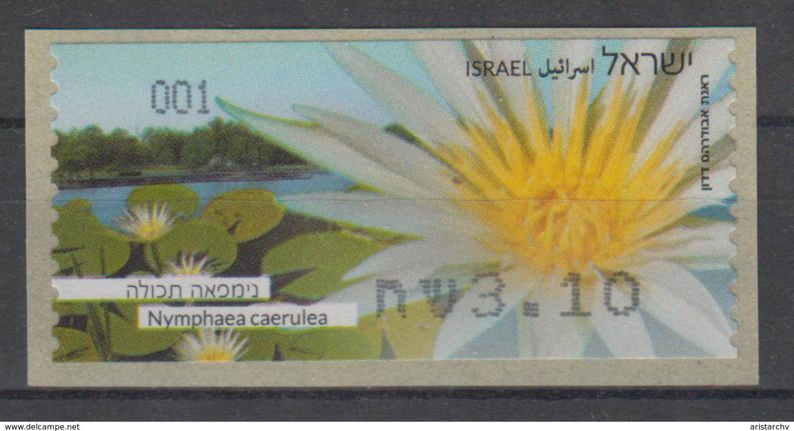 ISRAEL 2013 KLUSSENDORF ATM FLOWER BLUE WATER LILY - Viñetas De Franqueo (Frama)