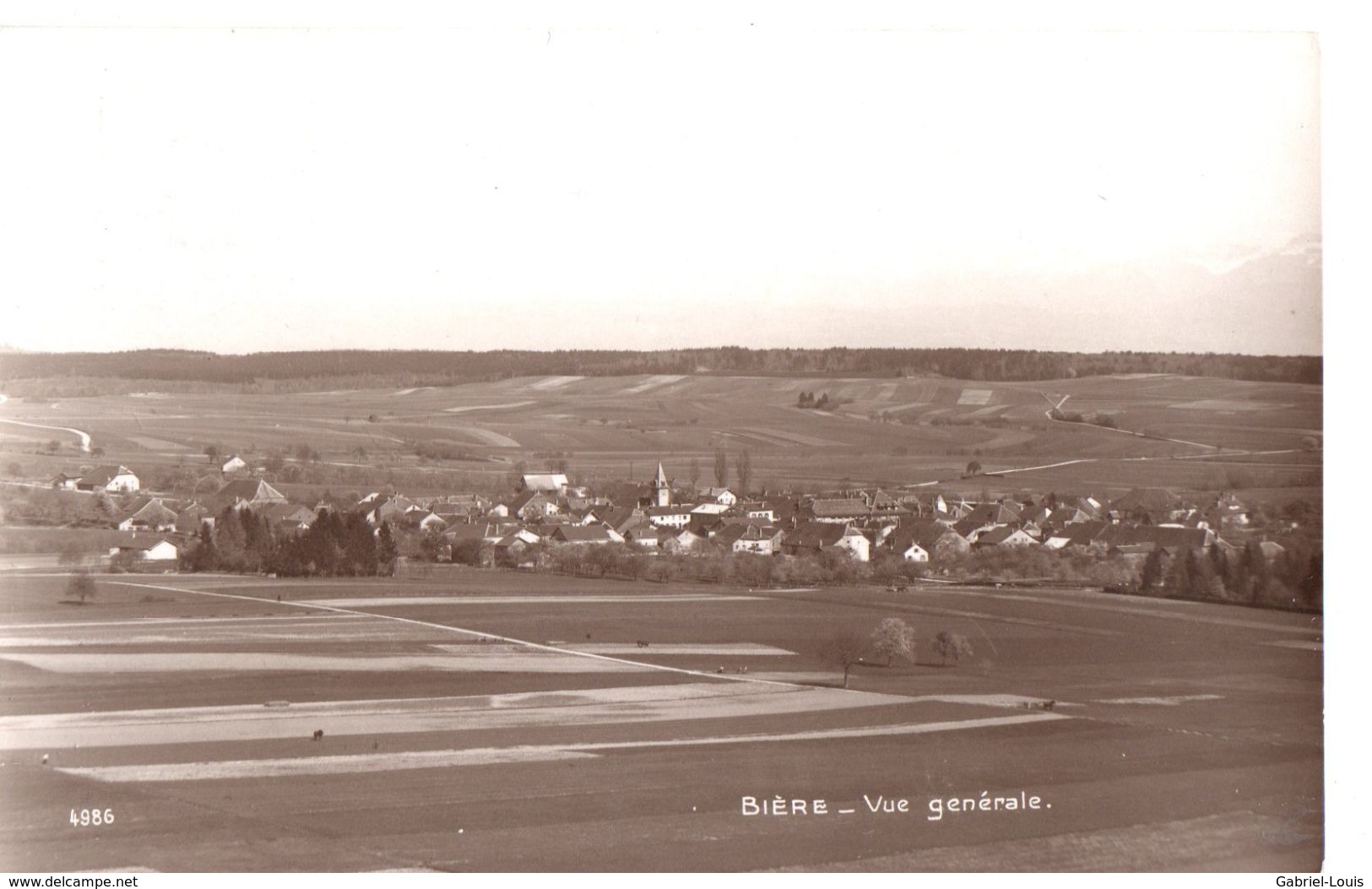 Bière Vue Générale - Bière