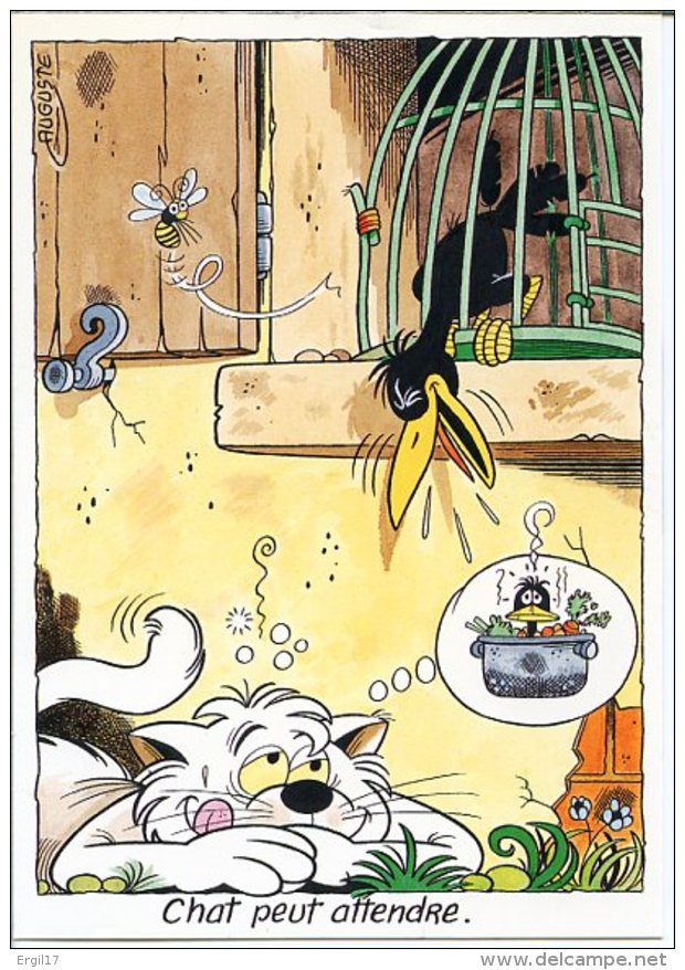 CHATS - Lot De 3 CPM De L'illustrateur AUGUSTE - Chat Traîne ! - Chat Peut Attendre - Chat Baigne - Katzen