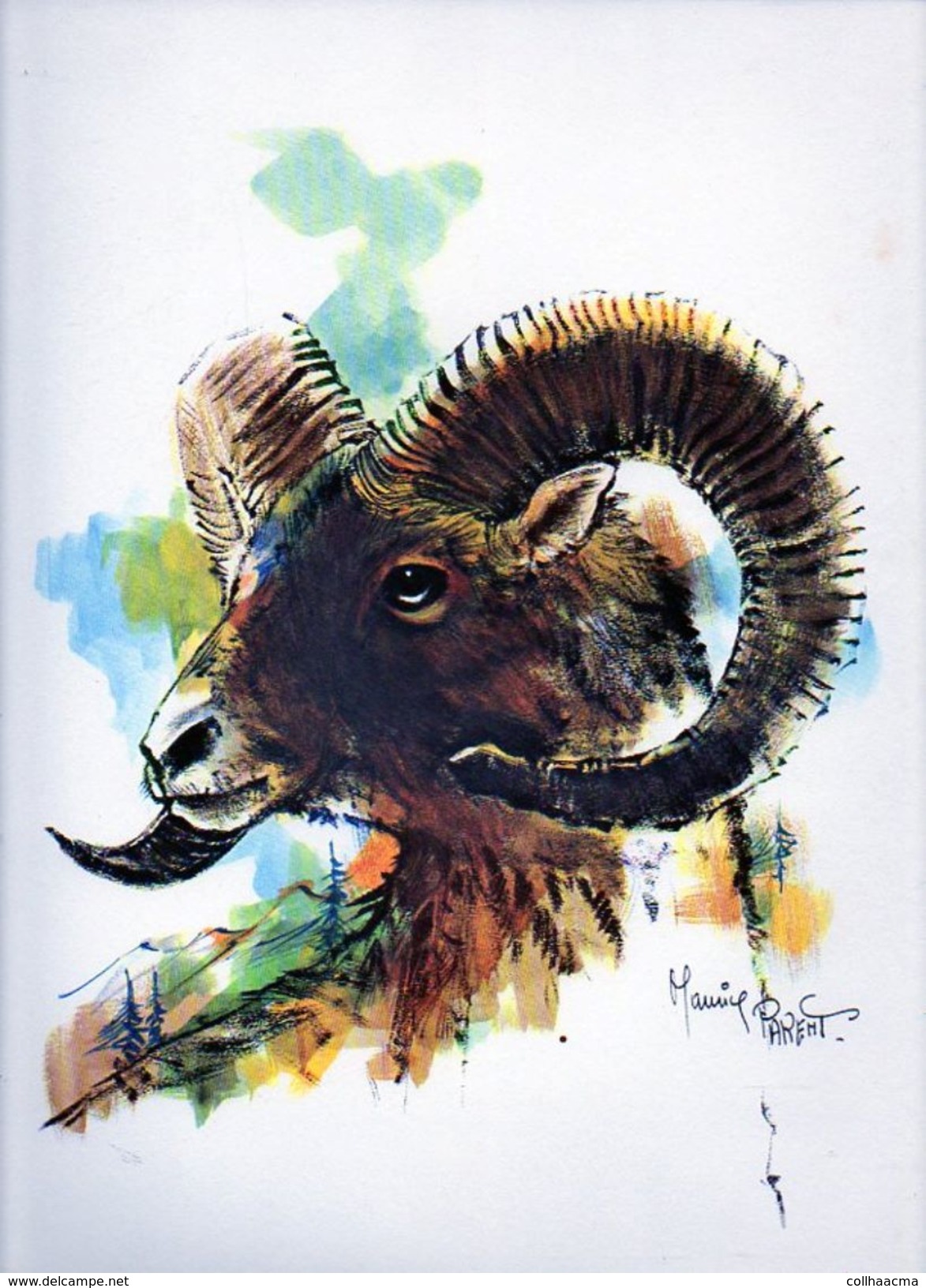 Publicité Pharmaceutique Laboratoires Fraysse / Lithographie De Maurice Parent " Le Mouflon " Texte Robert Hainard - Lithographies