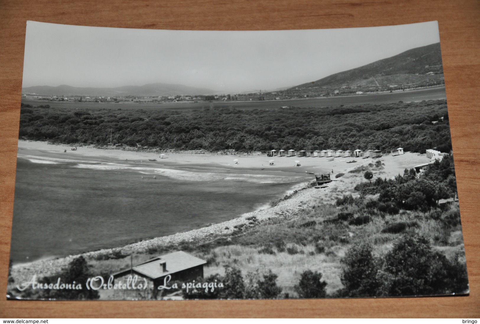 1212- Ansedonia (Orbetello) - La Spiaggia - Other & Unclassified