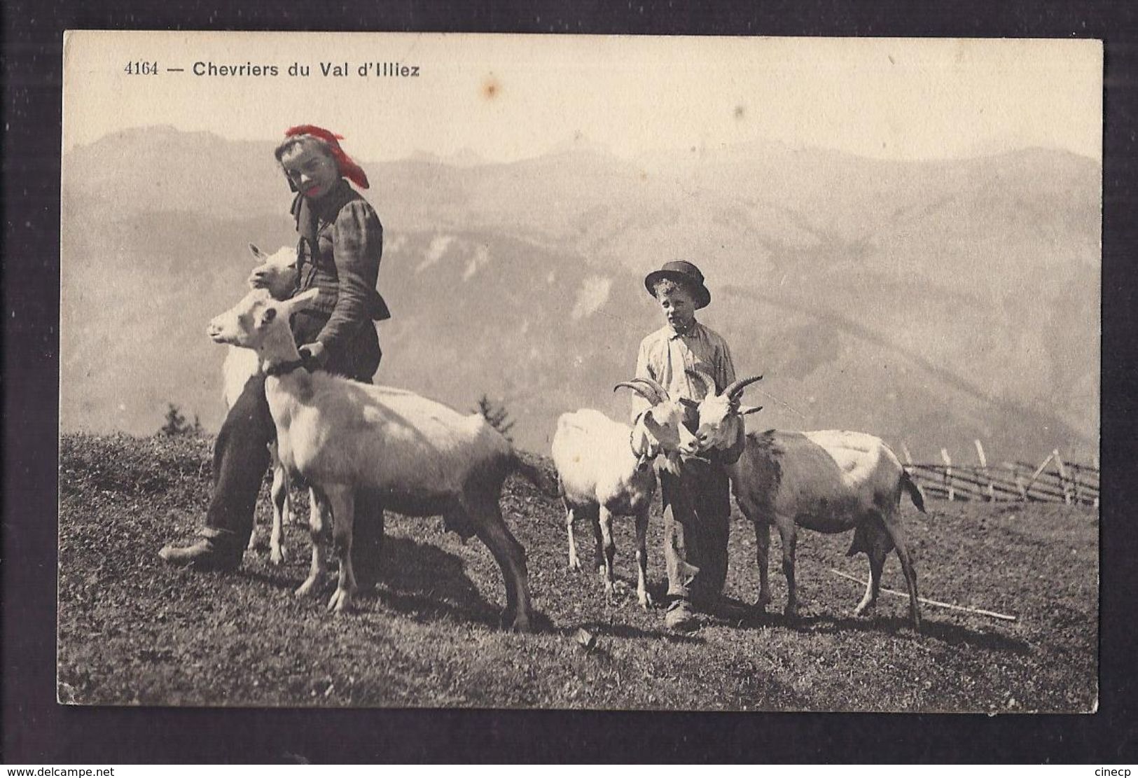 CPA SUISSE - VAL D' ILLIEZ - Chevriers Du Val D'Illiez - TB PLAN Jeunes Avec Les Chèvres - Val-d'Illiez 