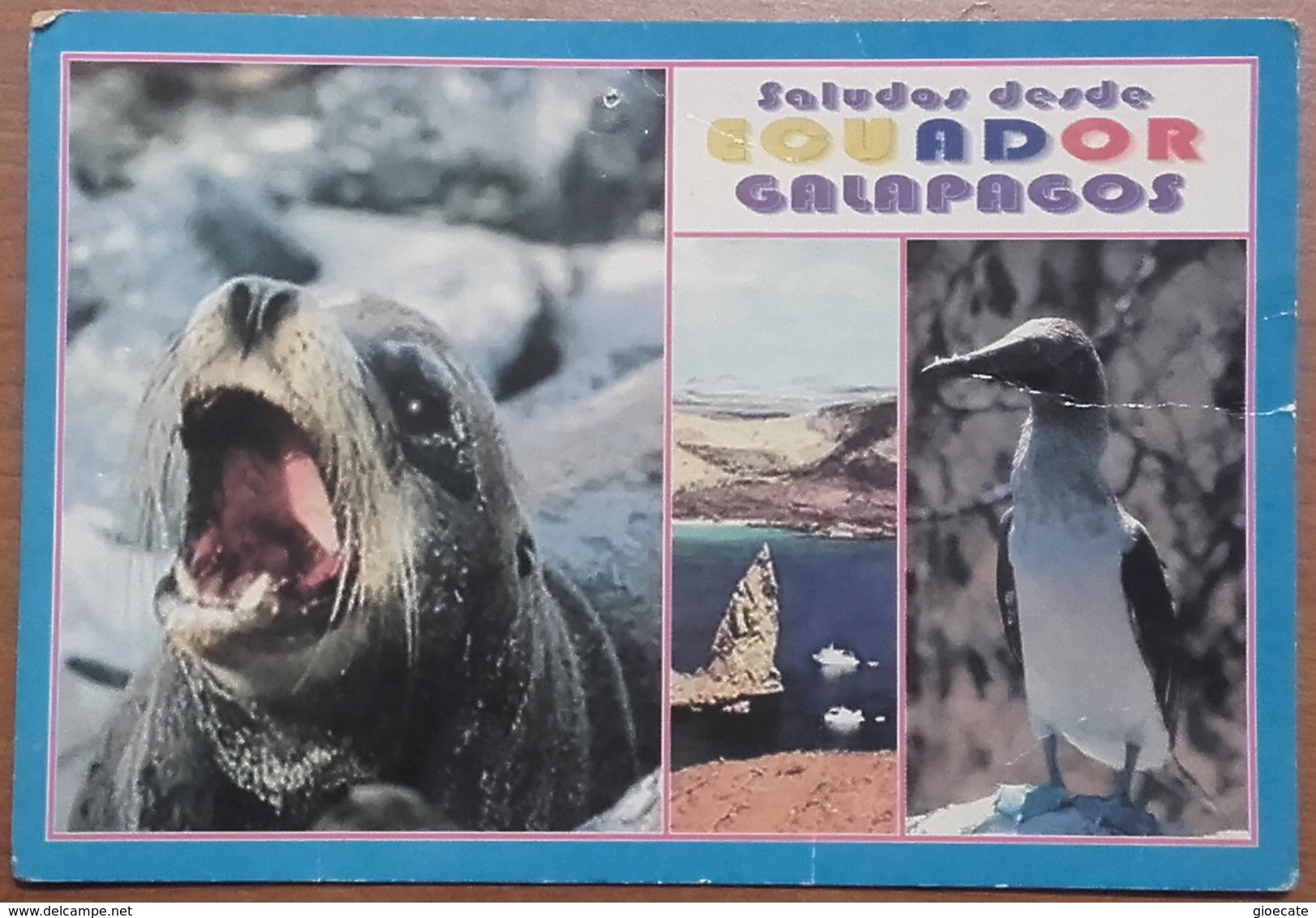 GALAPAGOS – PATRIMONIO DELL’UMANITA’ – NON VIAGG. – COMPILATA NEL 2000 – (2185) - Ecuador