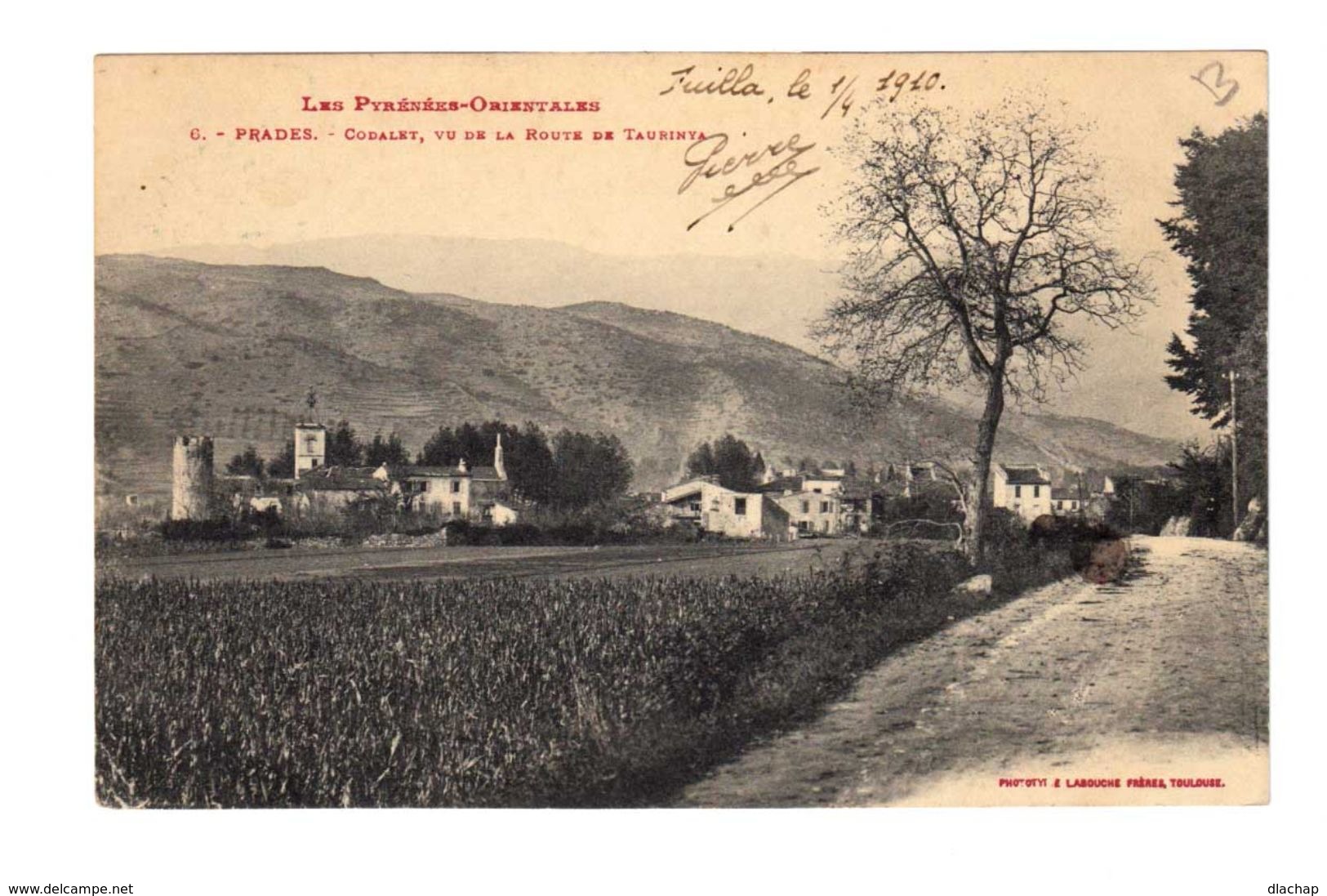 Prades. Pyrénées Orientales. Codalet. Vu De La Route De Taurinya. (2273) - Prades