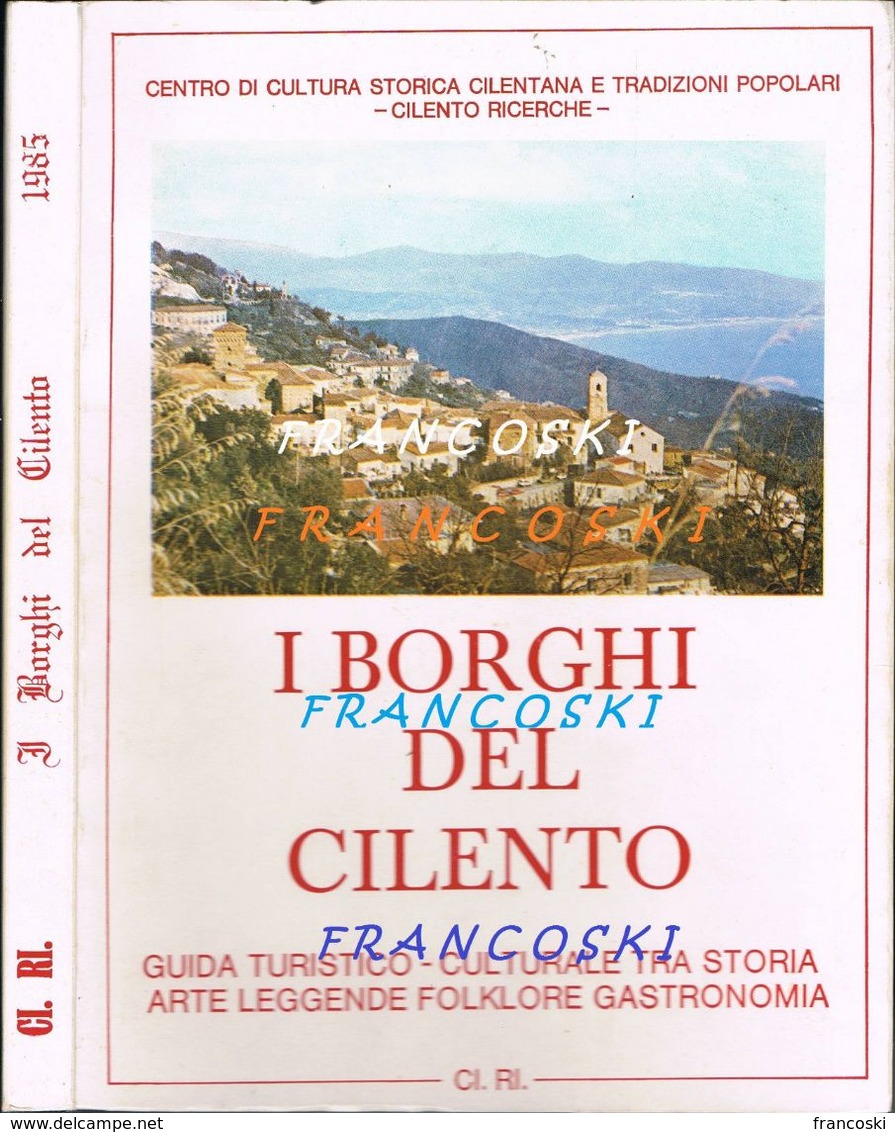 CILENTO I BORGHI DEL -(SALERNO)-RICERCHE-Tradizioni-Folclore- - Geschichte