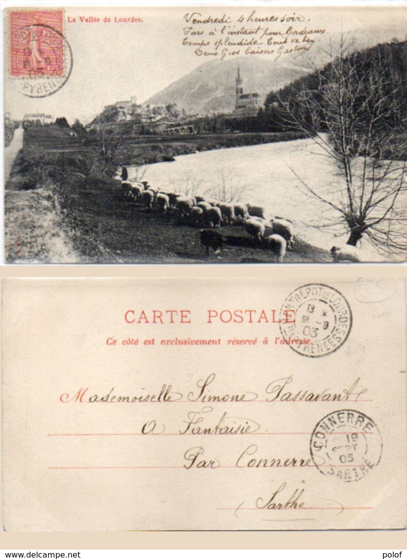 La Vallée De LOURDES - Troupeau De Moutons  (101769) - Lourdes