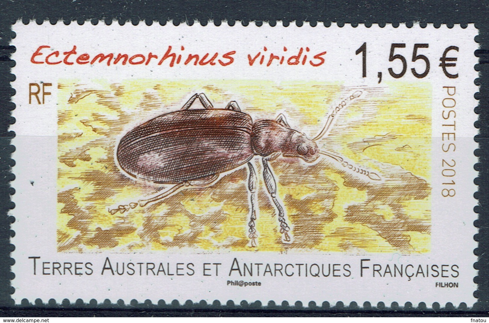 French Antarctic (FSAT), Insect, Ectemnorhinus Viridis, 2018, MNH VF - Unused Stamps