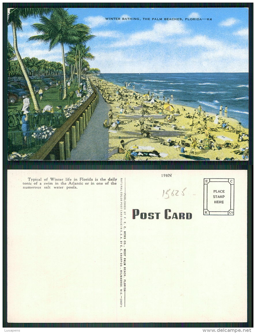 USA [OF #15625] - FL FLORIDA - WINTER BATHING THE PALM BEACHES - Palm Beach